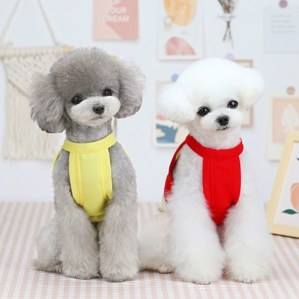 âď¸âCLEARANCE âď¸ Red Strawberry Kawaii MilkâCartoon PetâClothes - Picture 7 of 15